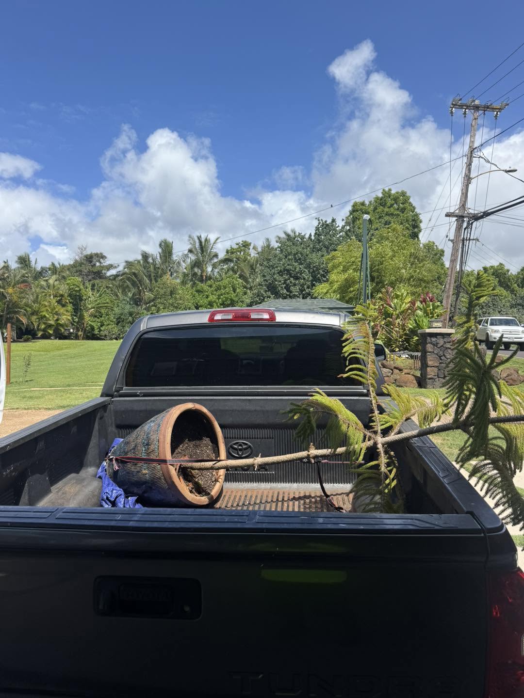 Kauai junk removal job